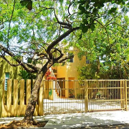 Serena Baja San Juan Dış mekan fotoğraf