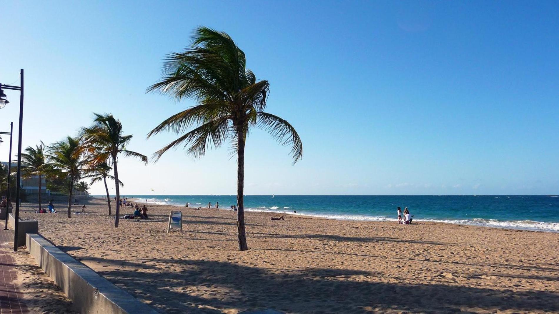 Serena Baja San Juan Dış mekan fotoğraf