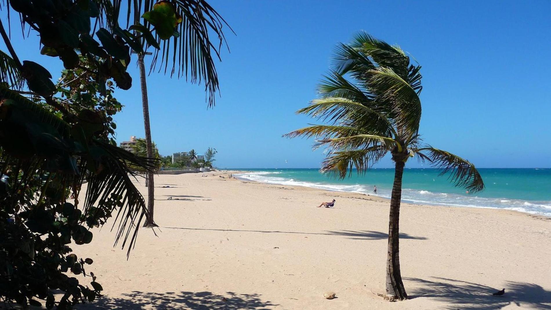 Serena Baja San Juan Dış mekan fotoğraf